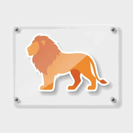 Signs, merch & more